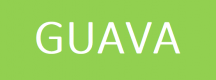 Guava
