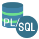 Category for Oracle PL/SQL Training in Venezuela