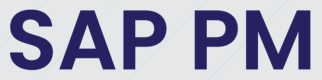 Categoría de SAP PM
