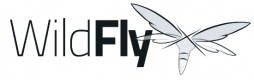 Cursos de Wildfly en Venezuela